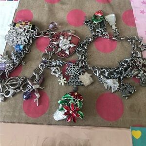 Elegant brooch & Silver Charm Bracelets